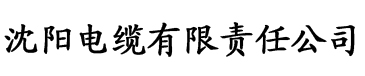 飘风电缆厂logo